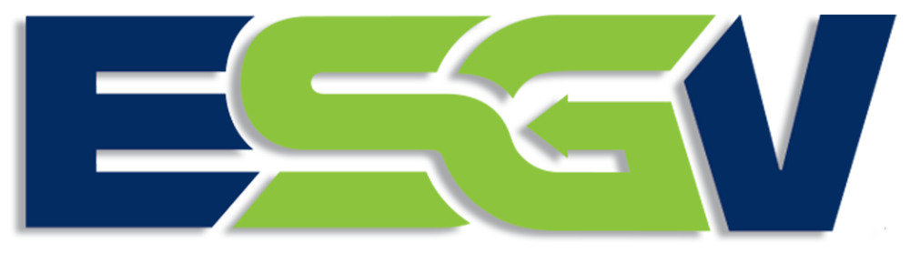 ESG Vision